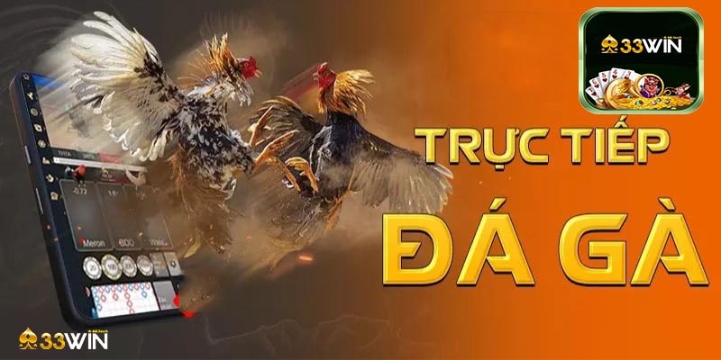 Đá Gà 33win Có Nên Tin tưởng Cá Cực Online